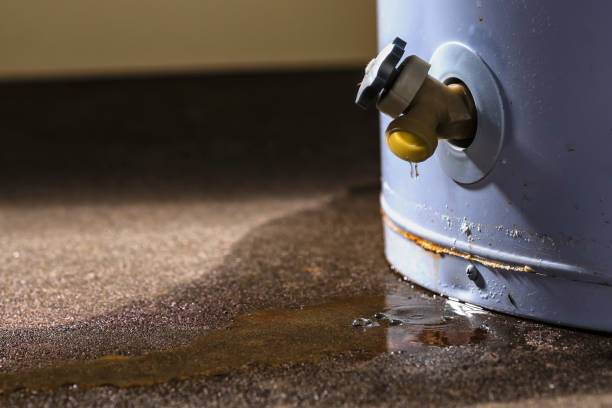  Somerville, MA Water damage restoration Pros