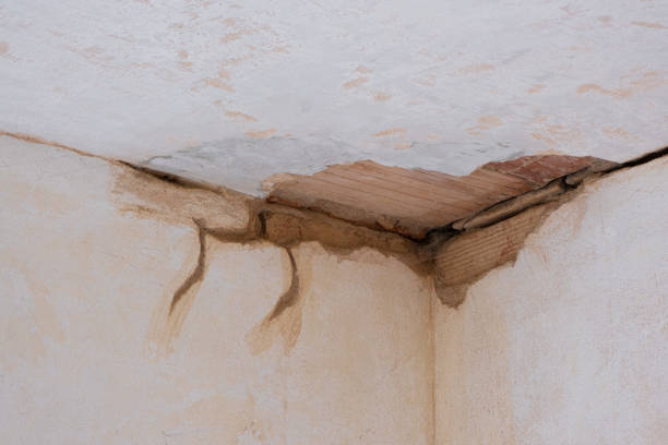 Best Sewage cleanup and water damage restoration  in Somerville, MA