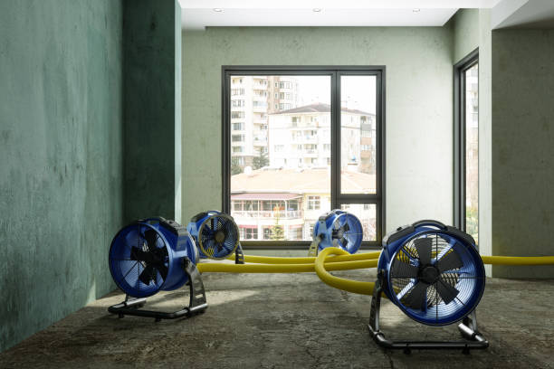 Best Professional water damage repair  in Somerville, MA