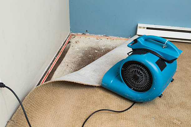Best Water damage restoration near me  in Somerville, MA